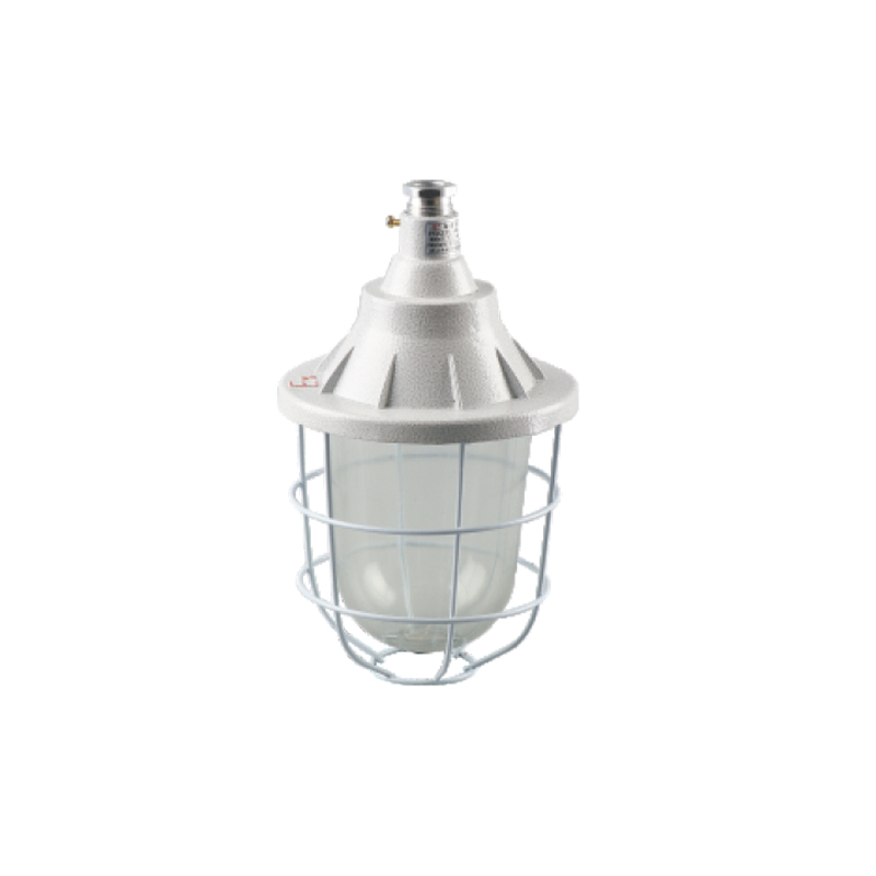 BCD-200隔爆型防爆燈D型