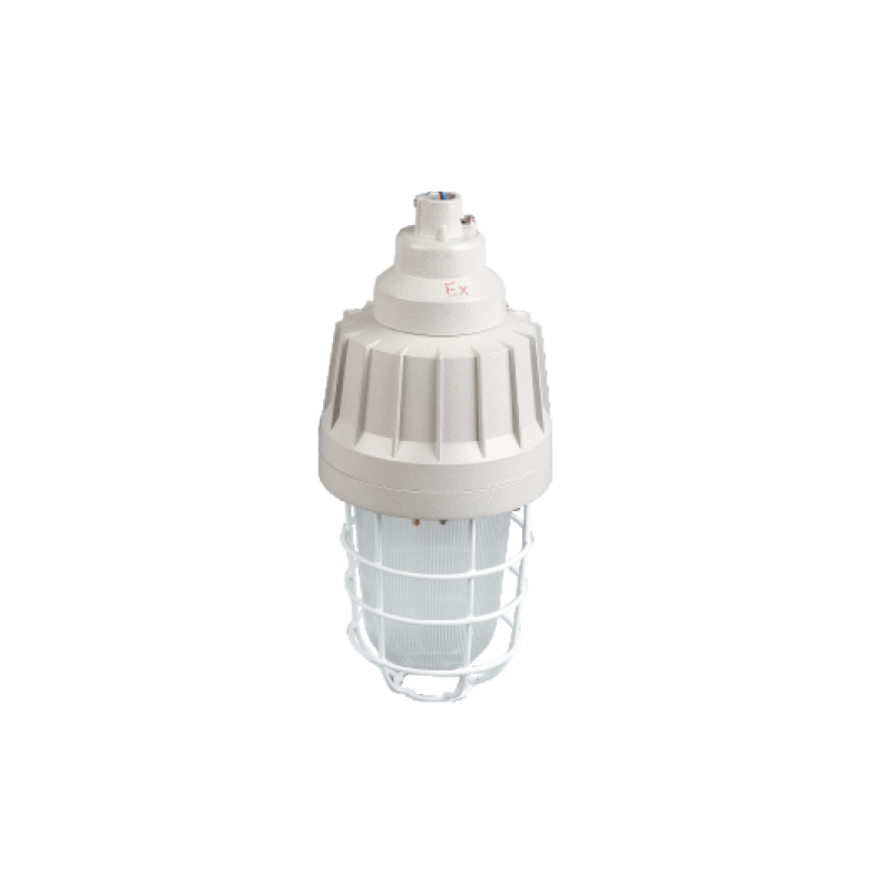 BAD61防爆照明燈（175W、lIC）