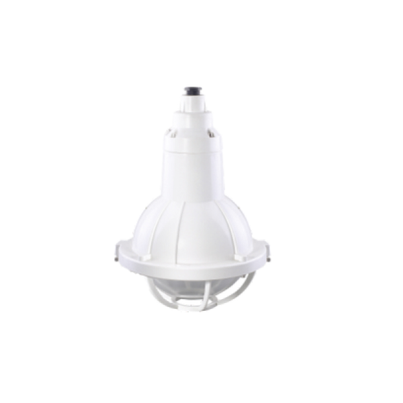 BGL-250S增安型防爆防腐燈