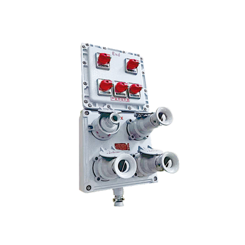 BXS防爆檢修電源插座箱（IIB、IIC）