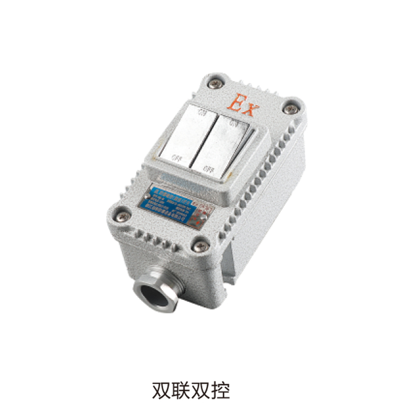 BQK防爆墻壁（插座）開(kāi)關(guān)（ExtD　A21）