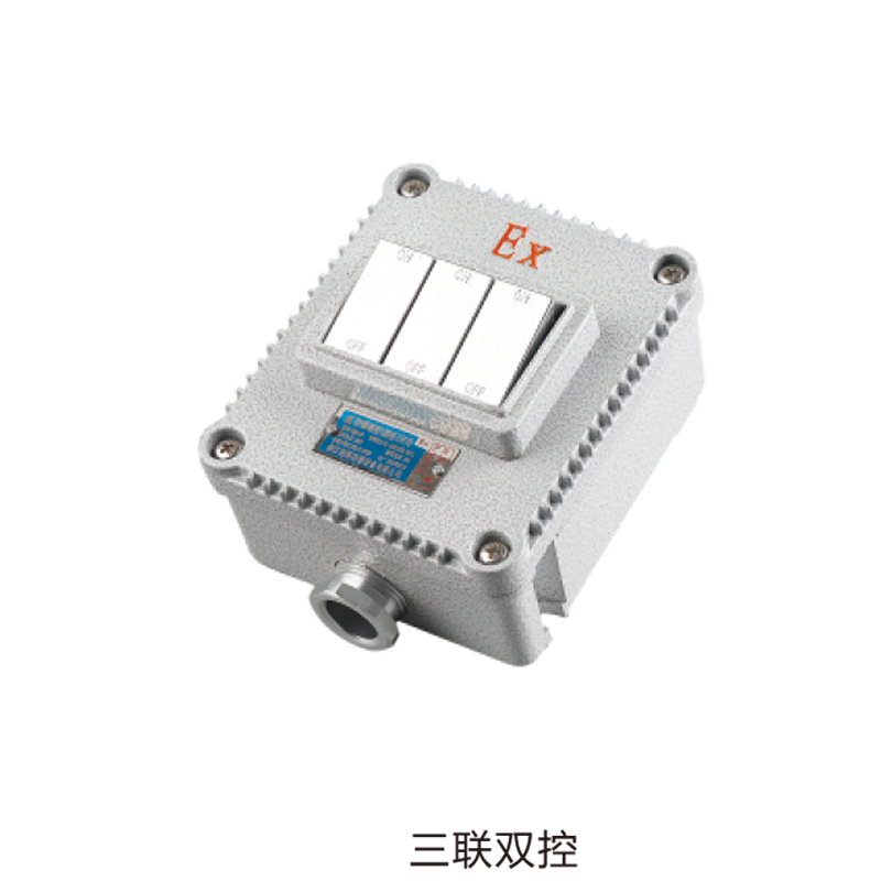 BQK防爆墻壁（插座）開關(guān)（ExtD　A21）