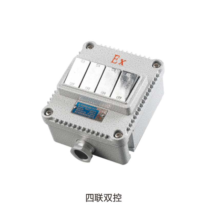 BQK防爆墻壁（插座）開關(guān)（ExtD　A21）