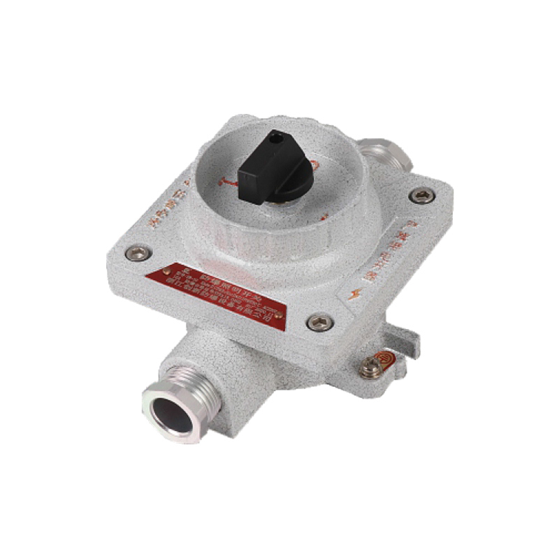 SW-16防爆照明開關(guān)（IIC/ExtD）