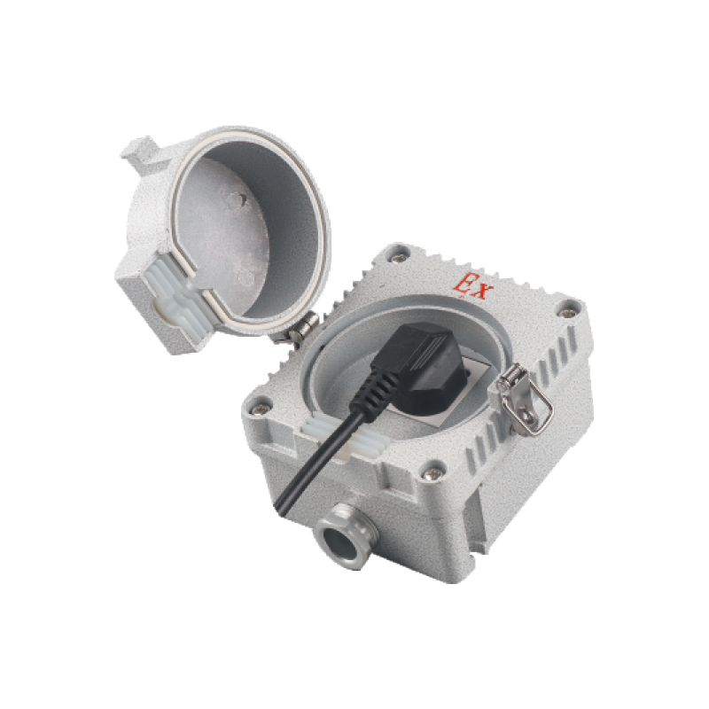 BQK防爆墻壁（插座）開關(guān)（ExtDA21）