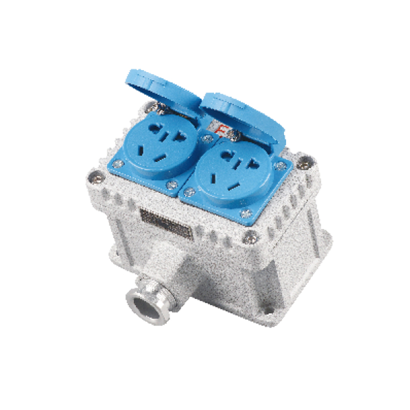 BQK三防墻壁（插座）開關(guān)（ExtD A21）