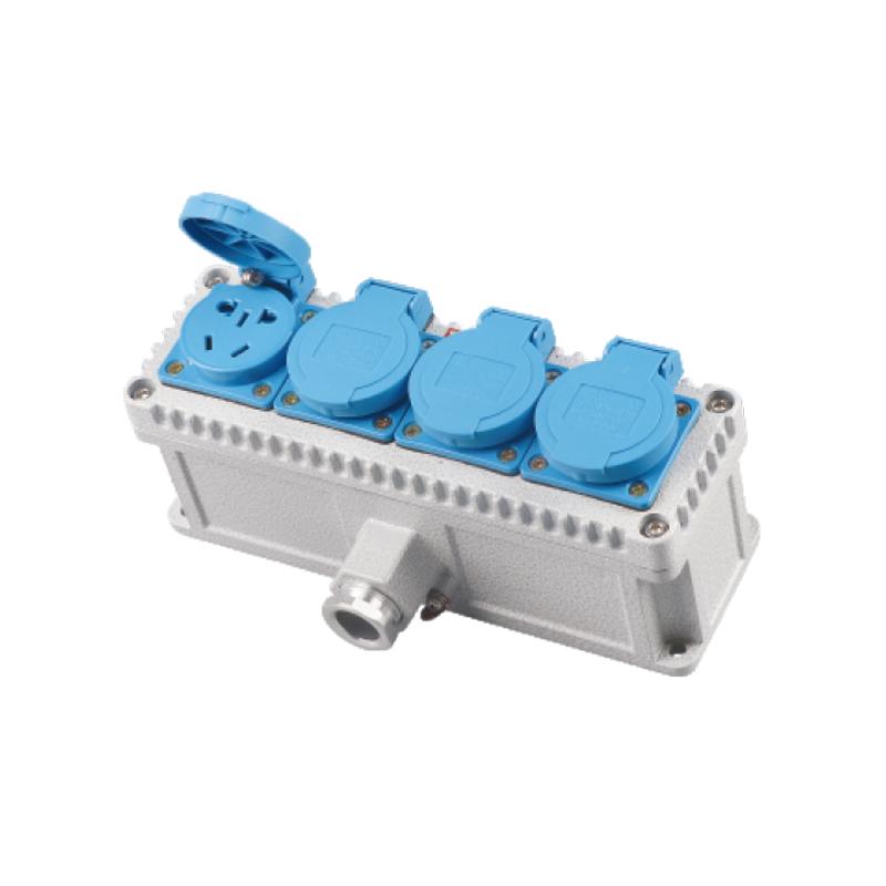 BQK三防墻壁（插座）開關(guān)（ExtD A21）